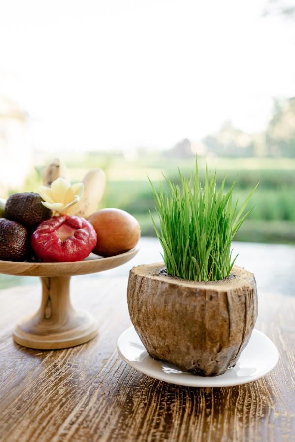 Poka Ubud Hidden Paradise & Spa By Eps Zewnętrze zdjęcie
